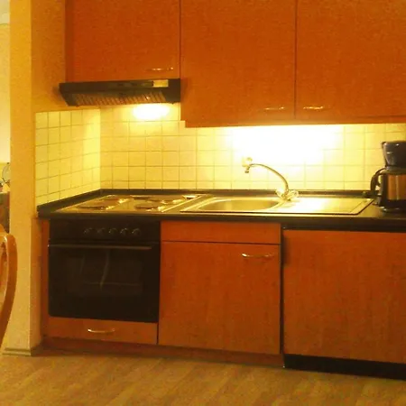 Apartmán Holiday Am Weissen Regen Bad - Dmg04504-cya Bad Koetzting